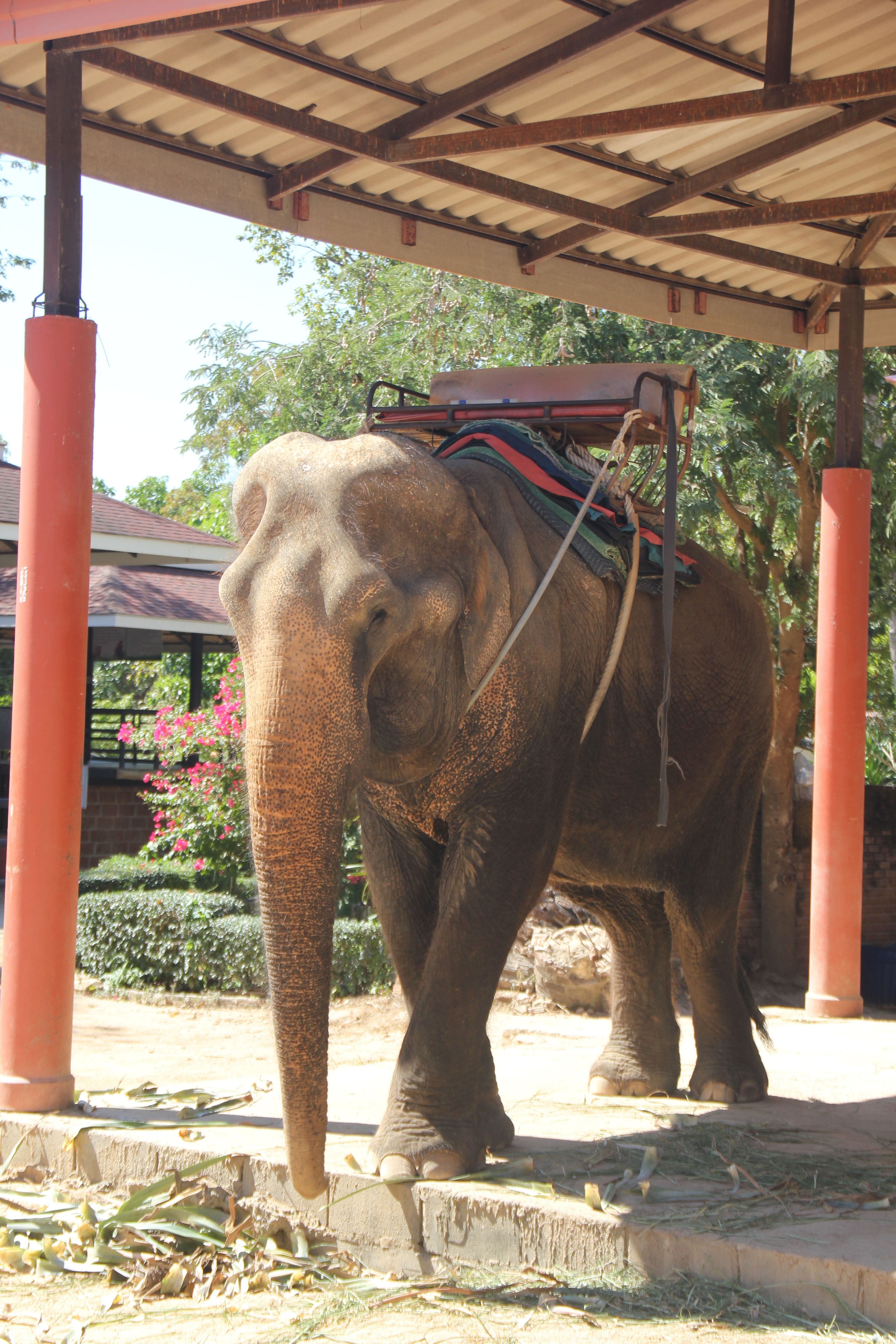 Khun before she was rescued